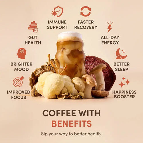 Boosted Chai Latte Bundle