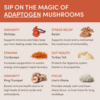 RYZE Starter Gift Set